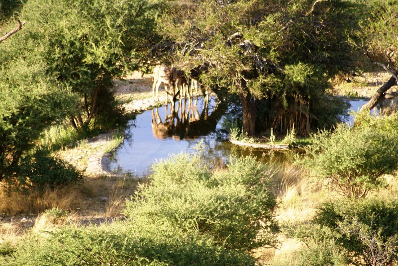 nab (1751).jpg - SONY DSC